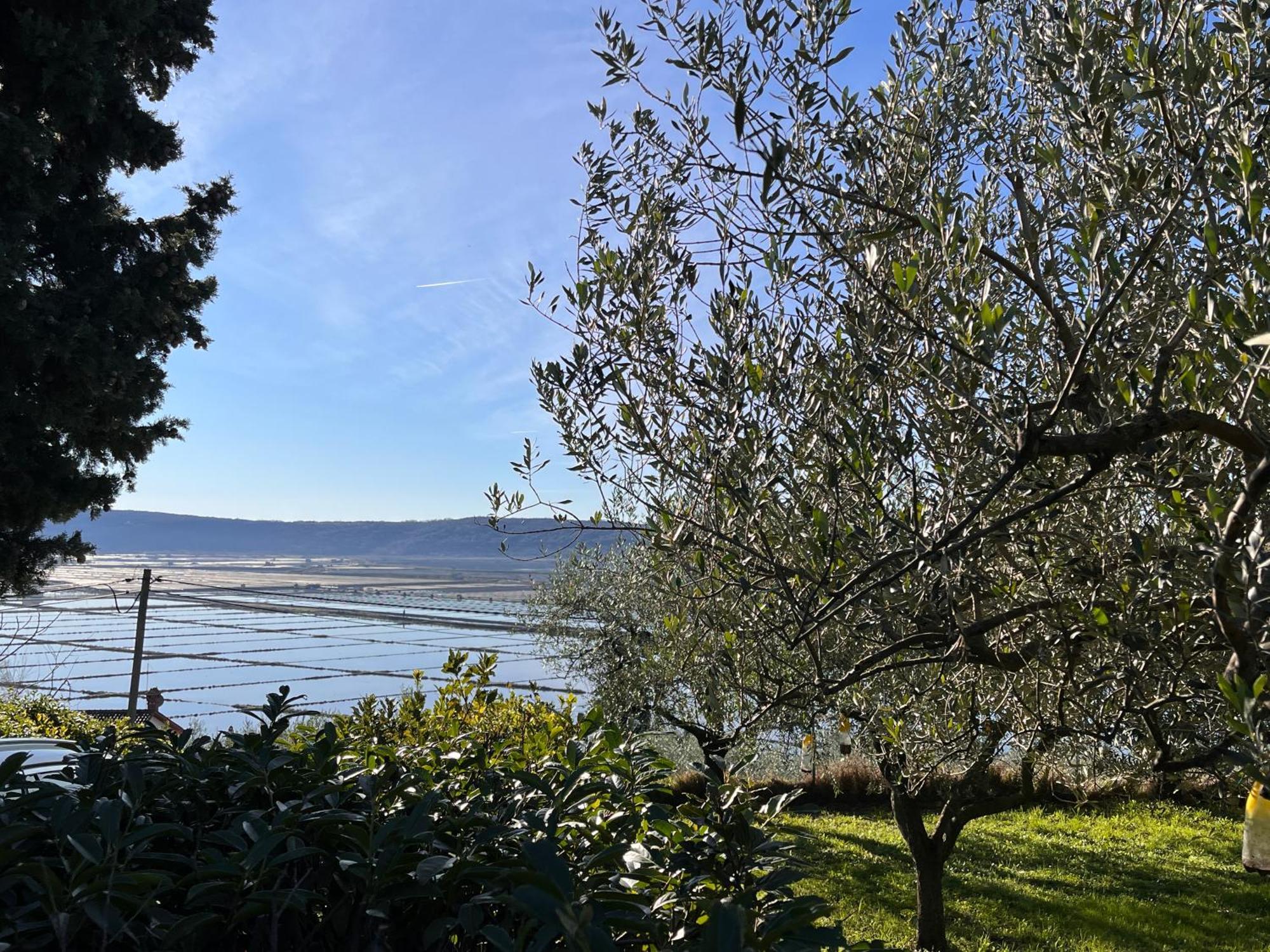 Pleasant 2 Bedrooms Duplex With Terrace Apartamento Piran
